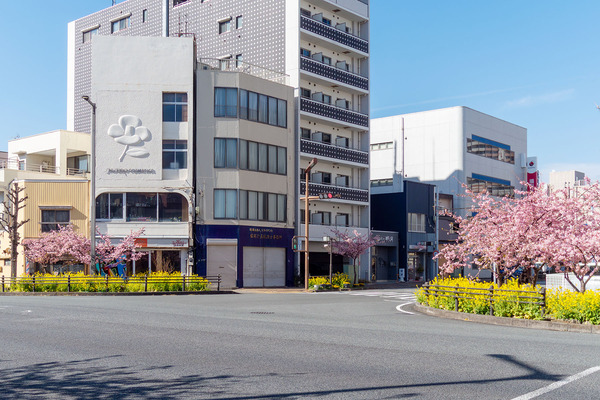 ���Ż���β��ź� 2026-2