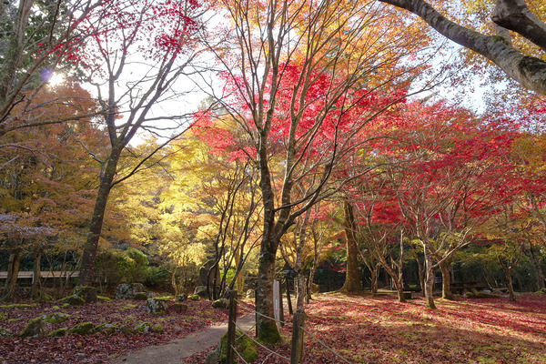 ƻ�α� ŷ��ۤ��ι��� 2023-3