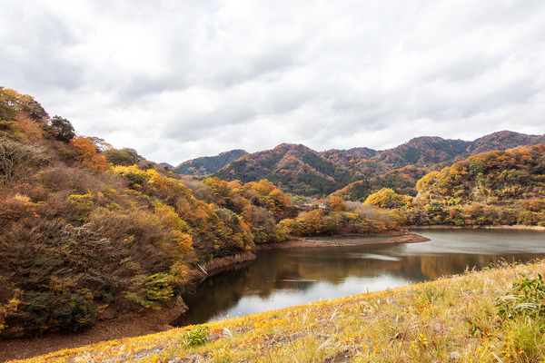 �������ι��� 2025-1