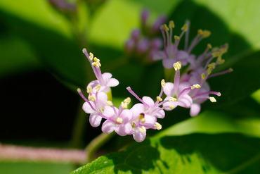 ��饵�������֤β�2014-1