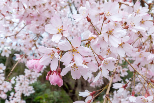 ��ӻ��λ������2023-2