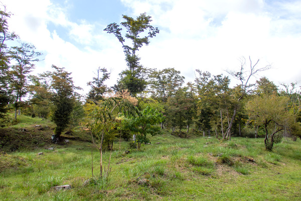 御胎内清宏園 2025-1