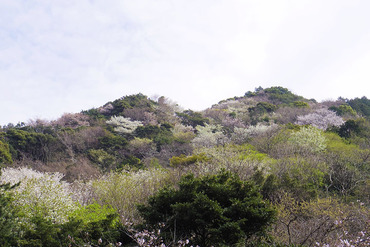 �����2014-2