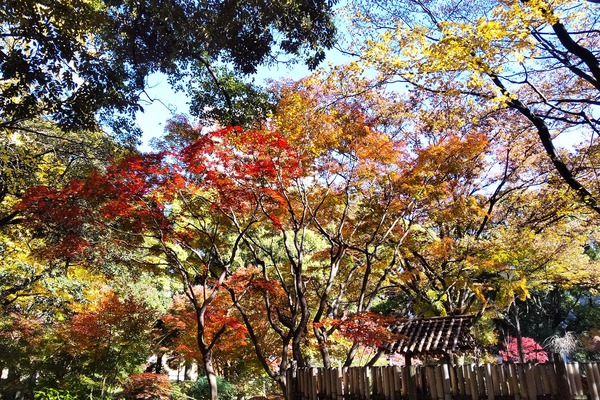 ���͸��� �������ι���2023-1