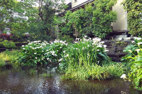 ��ʼ����2017-2