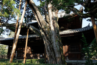 ���������֤�2