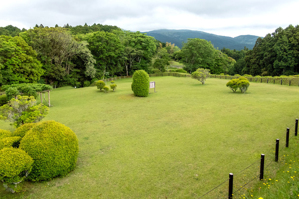 �����Ԯ���� 2025-2