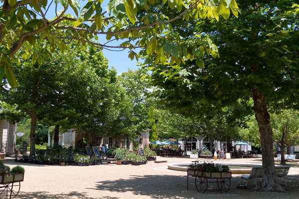 �Х��ƥ�2016-1