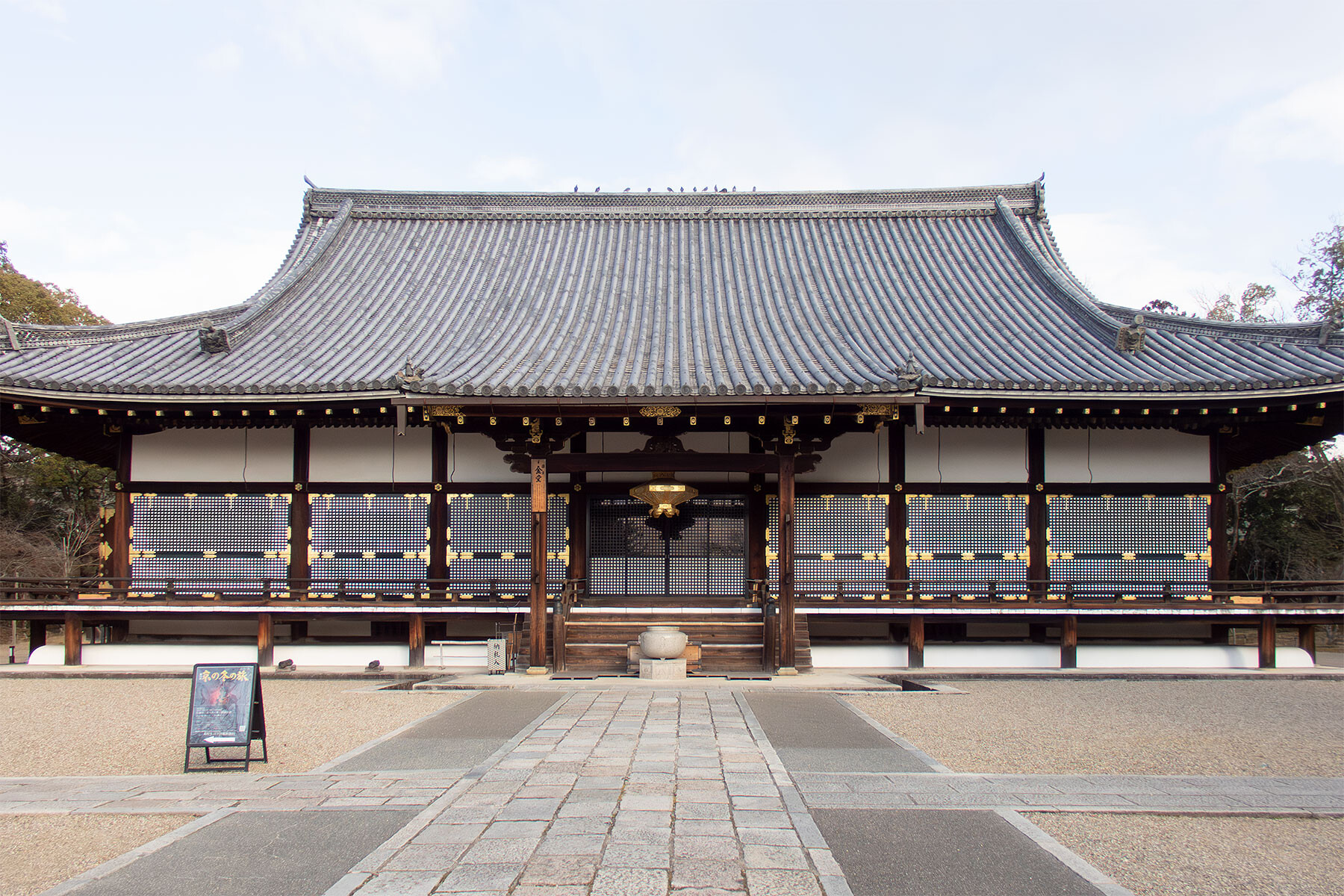 京都 1月なのに御室仁和寺でミツバツツジが咲いていました 2024 : 季節