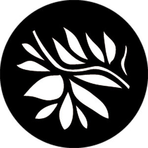 26030