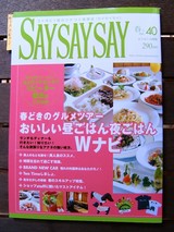 saysaysay