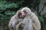 IMG_6748