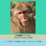 12代目トラヨ