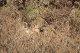 IMG_9299