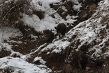 IMG_7185