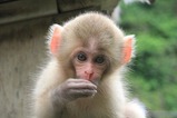 IMG_0152