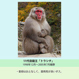 11代目トラシチ