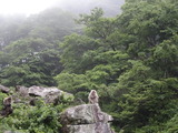 DSC01003