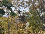IMG_1156[1]