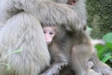 IMG_6568 (2)