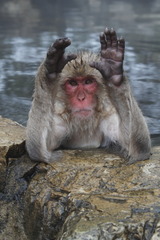 ����夲��～