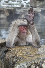 ���褦�ʤ�～