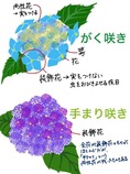 1562729161694