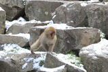 IMG_5398