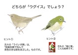 7c1a9e56-4e6c-4e15-8ecd-0190c3b2acc0