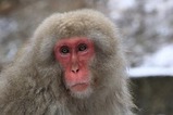 IMG_6904