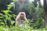 IMG_8749