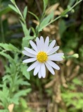 IMG_0906[1]