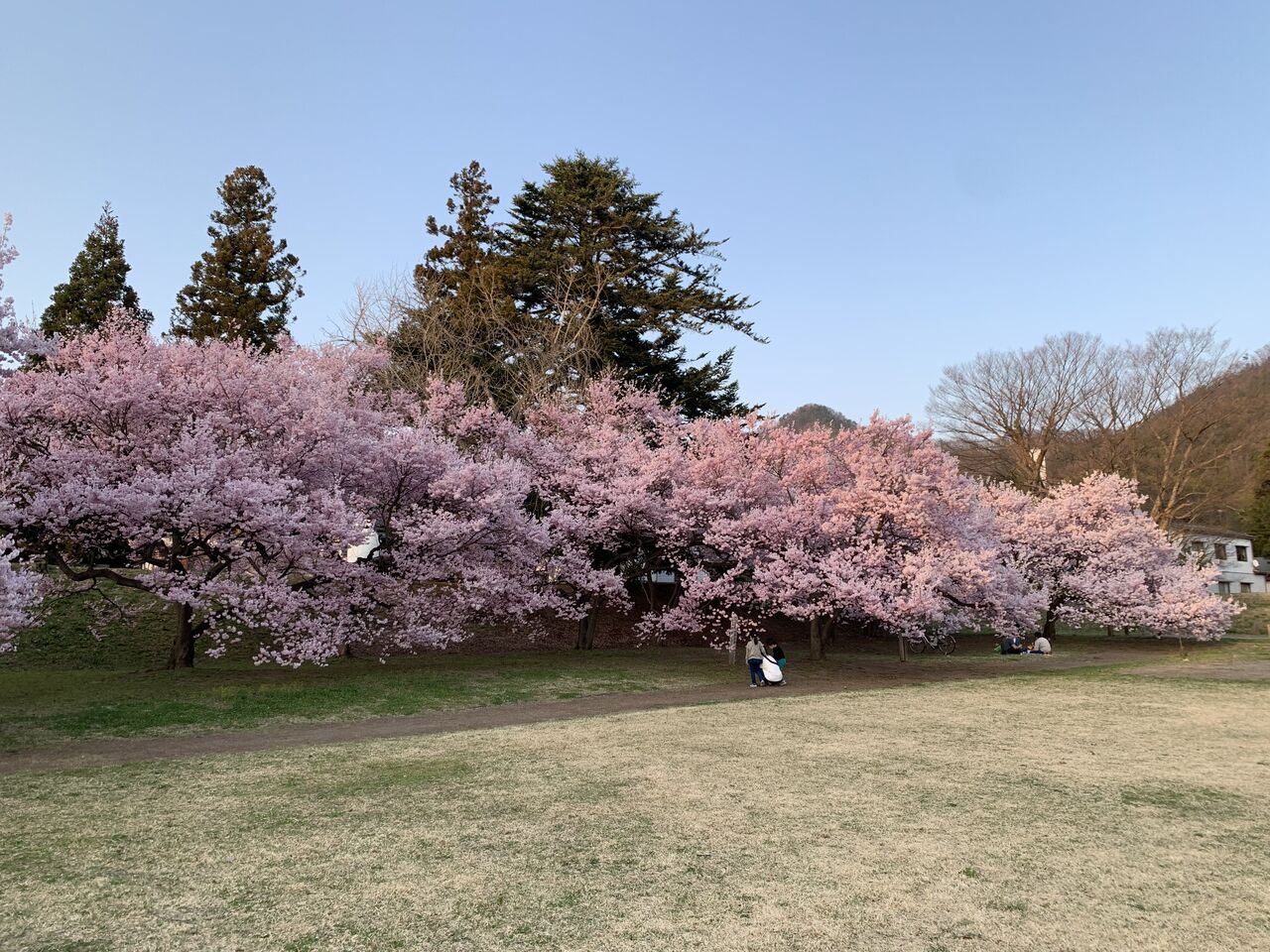 地獄谷野猿公苑 ふぃーるどのーと 地獄谷野猿公苑 ふぃーるどのーと
