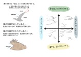 a60059d8-d9b1-4bd4-b355-a493db18547b