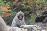 IMG_0354