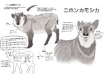 カモシカ
