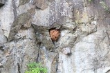 IMG_8721
