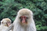 IMG_6795