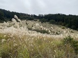 IMG_1157[1]