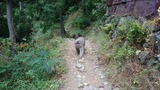 MOV_9422_000005