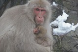 IMG_1180 (2)