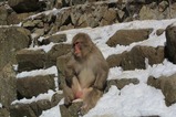 IMG_7260