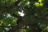 IMG_8625