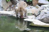 IMG_6572