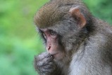 IMG_6757