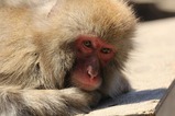 IMG_9571