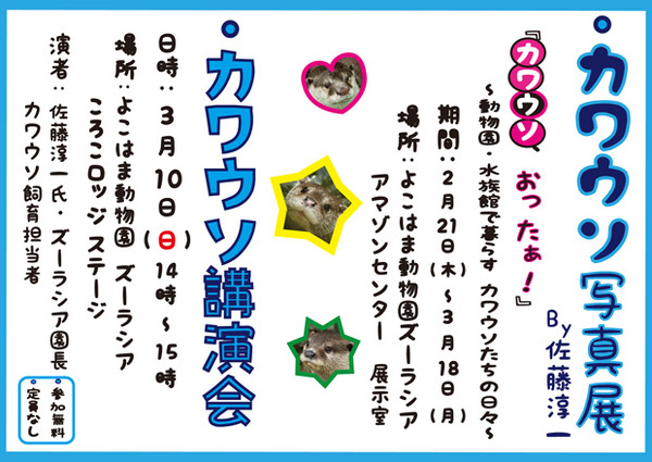 カワウソ写真展チラシ