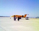 ���Ե��ˤΤ�ޤ�