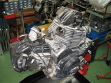 490bfb41.jpg