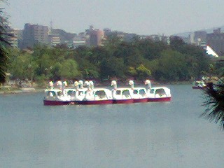 ガアガアガア